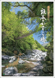 祖谷のかずら橋 新緑