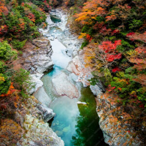 風景